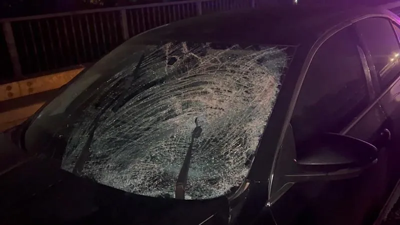 Küçükçekmece D-100'de korkunç kaza (DHA)