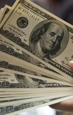 Hükümetten kritik dolar açıklaması
