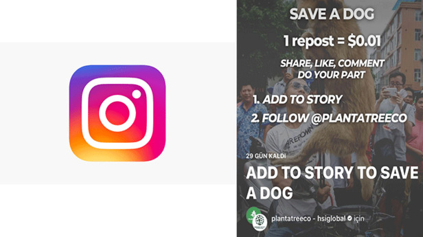 save-a-dog-bagisi-nedir-ne-demek-instagramda-save-a-dog-kampanyasina-bagis-nasil-yapilir-amaci-ne-1623419406351.gif Save a dog bağışı nedir? Instagram 'Save A Dog' bağışı nasıl yapılır? Yulin köpek yeme festivali nerede yapılacak?-3
