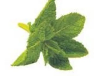 Naneyle güçlü dişler