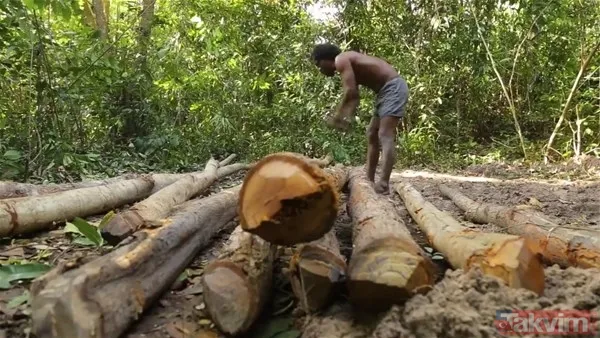 Sadece ağaç kullanarak öyle bir şey yaptı ki! YouTube videosu milyonlar izlendi - 7