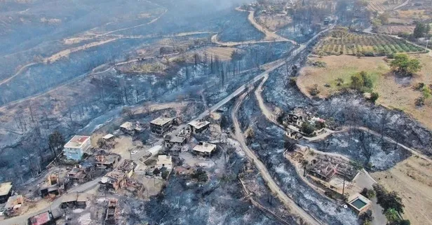 Türkiye'de orman yangınları! Hayvancılık sebze-meyve üretimi ve arıcılık da tehlikede