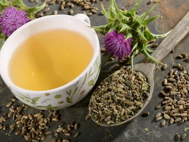 Deve dikeni çayı neye iyi gelir, nasıl yapılır? Deve dikeni çayı faydaları neler?