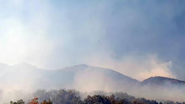 bingolde-cikan-orman-yangini-5inci-gunde-de-devam-ediyor-1630484773950.jpg Bingöl’de çıkan orman yangını 5'inci günde de devam ediyor!-3