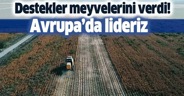 Destekler meyvelerini verdi! Avrupa’da lideriz