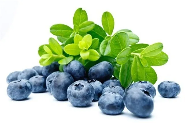 Zayıflatan 27 süper gıda listesi! - 3