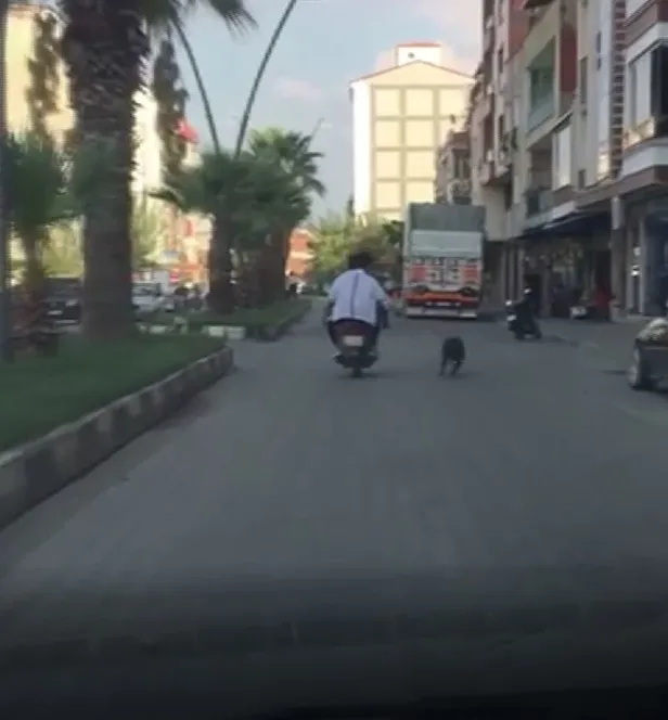 manisada-dehsete-dusuren-goruntu-kopegi-motosiklete-baglayip-kosturdular-1602274731975.jpg Manisa’da dehşete düşüren görüntü! Köpeği motosiklete bağlayıp koşturdular-2