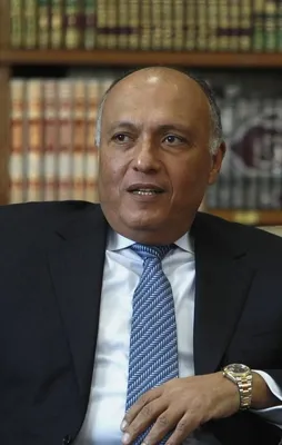 Mısır'dan dikkat çeken Türkiye açıklaması