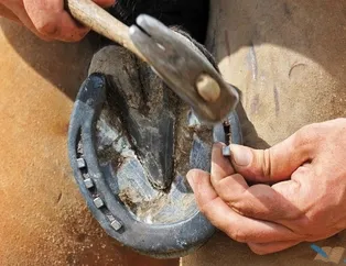 Rüyada nal görmek ne anlama gelir?