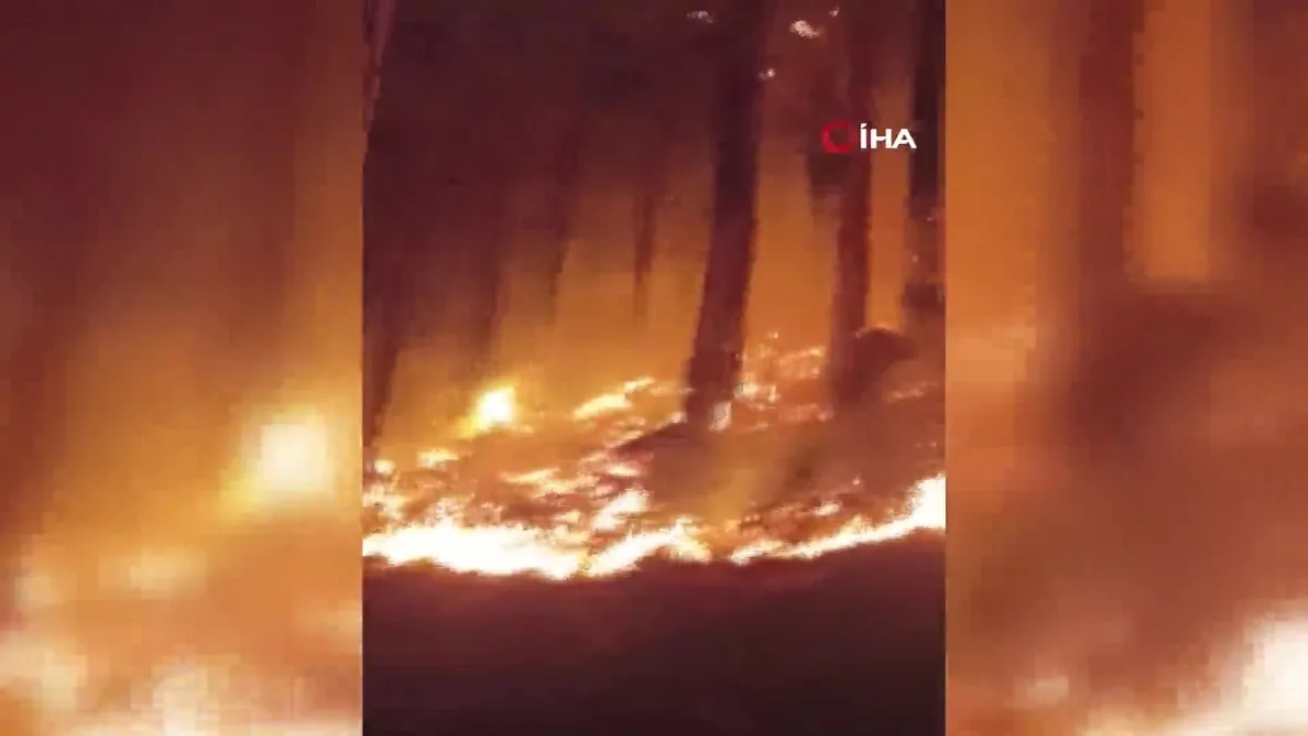 Denizli'deki yangın 2. gününde! Alevler geceyi aydınlattı!