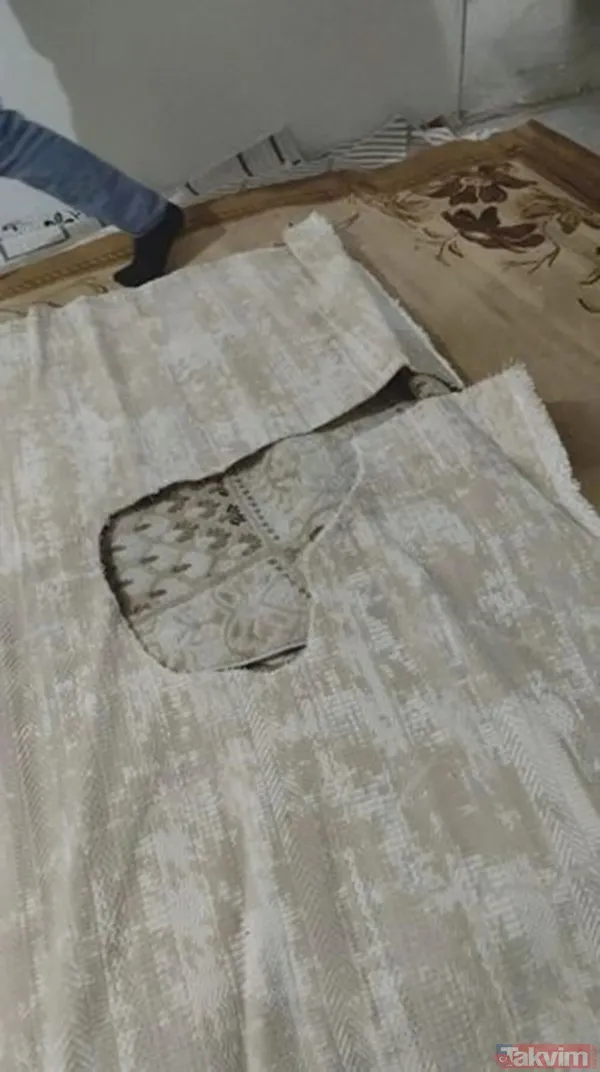 6. Elde Edilen Dna Profilinin; Van-Byl-2024-1321, Van-Byl-2024-1338, Van-Byl-2024-1347, Van- Byl-2024-1348, Van-Byl-2024-1362, Van-Byl-2024-1363 Numaralı...