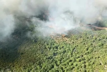 Manisa’da orman yangını!