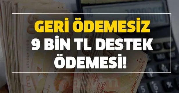 Çalışan ve çalışmayan her anne belirli programlara katılarak 9.214 TL'ye kadar destek alıyor