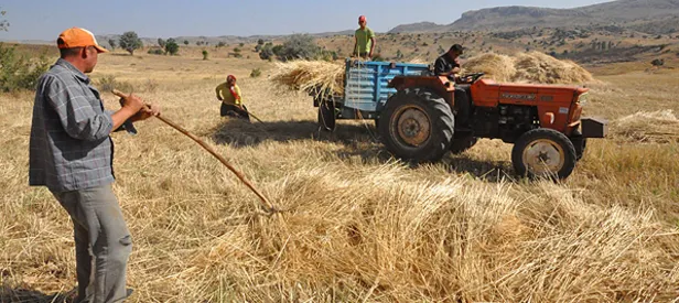 Çiftçiye 1 milyon lira hibe destek