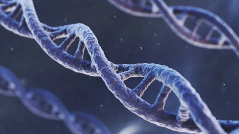 turklerin-genetik-haritasi-cikarildi-en-cok-hangi-millete-benziyoruz-1776256840356.jpg Türklerin genetik haritası çıkarıldı: En çok hangi millete benziyoruz?-6