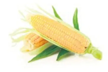 Gözlere süt mısır