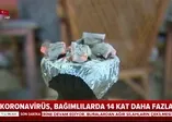 Nargilede koronavirüs (corona virüs) tehlikesi! Nargileden virüs bulaşır mı? |Video