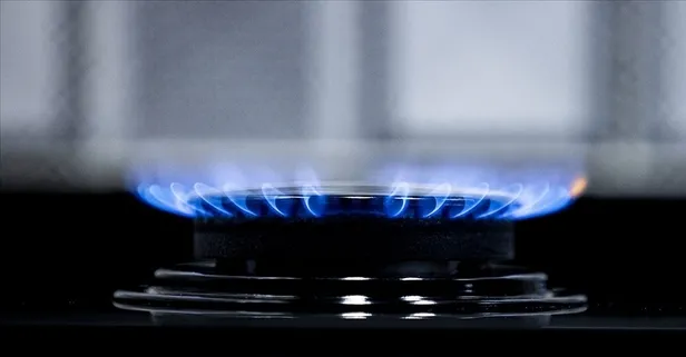 Son dakika: Bakan Derya Yanık'tan doğal gaz desteği açıklaması