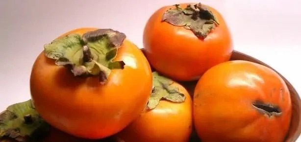 Kanserin ilacı hurma