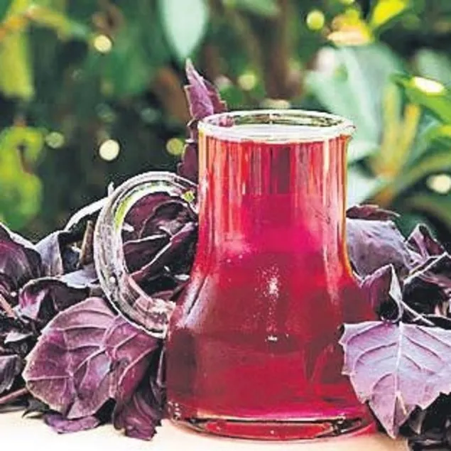 Karaciğer dostu reyhan