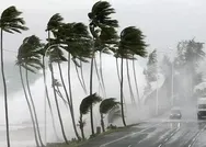 Meteorolojiden Marmara ve Ege için sarı kodlu uyarı: Fırtınaya dikkat!