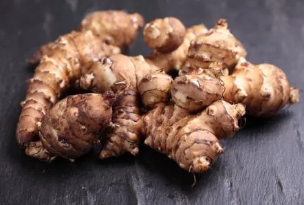 Yer elması kanseri kovar