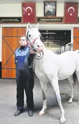 Efsane Caş’ı kaybettik