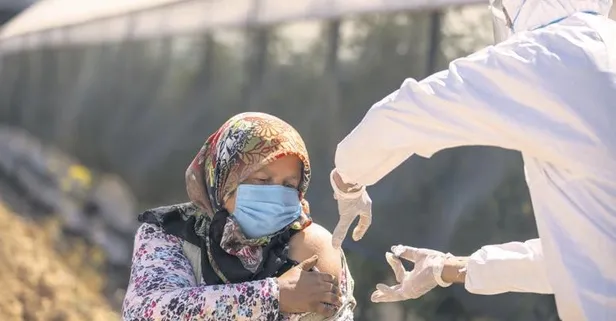 Aşıdan korkan kadının ayağına gidildi: Sinovac’ın ilk dozu domates serasında uygulandı