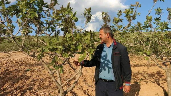 Siirt'te aylık 6 bin TL'ye çalıştıracak işçi bulunmuyor-5