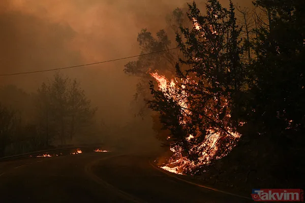 Yunanistan alevlere teslim oldu! O güne kadar kırmızı alarm! | Türkiye'den Yunanistan'a yardım eli - 16