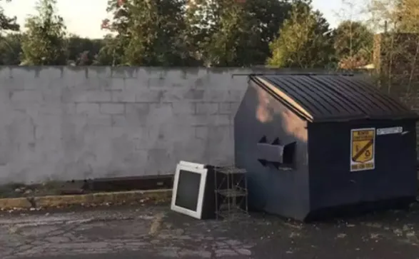 Zeka testi: 10 saniyede arka bahçede gizlenmiş geyiği bulabilir misin? 580 kişi denedi, 15'i başarılı oldu - 4