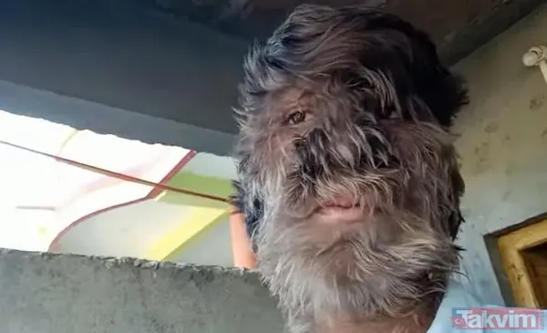 12 yıldır bir kere bile oturmadı sürekli ayakta! Duran Baba efsanesinin altından bakın ne çıktı! Neden oturmuyor diye merak edenler... - 8