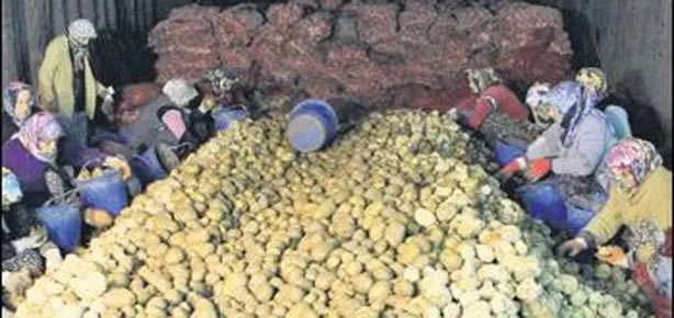 Dağı delerek doğal depo yaptı