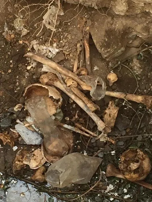 Aydın Nazilli'de heyelan sonrası inşaat temelinden kafatası ve kemikler çıktı-3