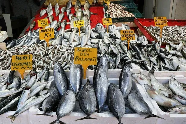 2021- 2022 balıkçılık av sezonu yasağı yarın başlıyor! Kurallara uymayanlar ceza yağdı: 27 milyon 597 bin lira-5