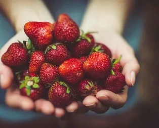 Alzheimer’ın ilacı çilek
