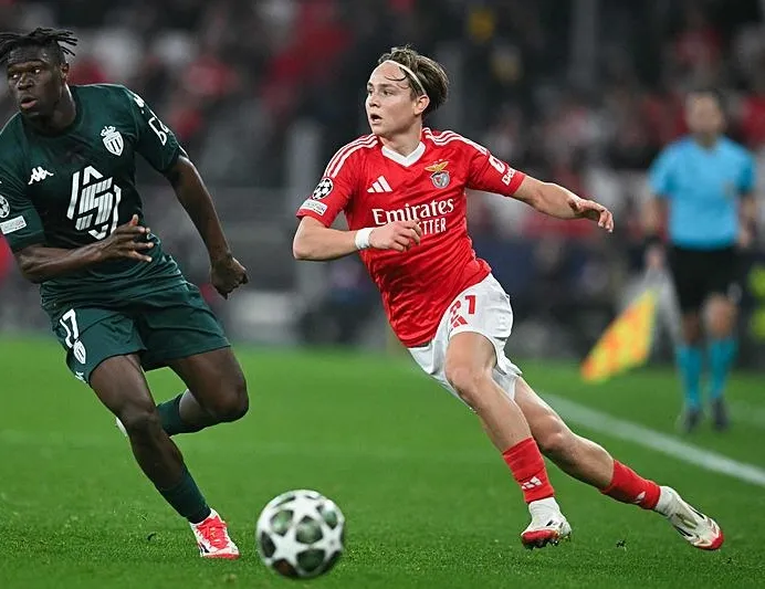 Schjelderup yoklaması