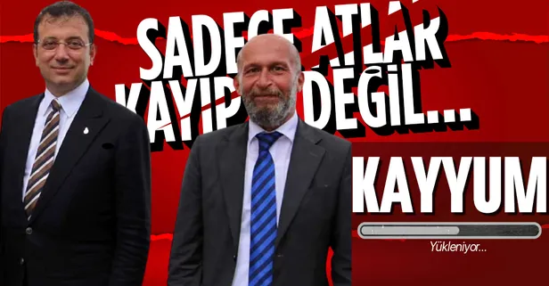 CHP'li Adalar Belediyesi'ne kayyum atanabilir! Sadece atlar değil araçlar da kayıp