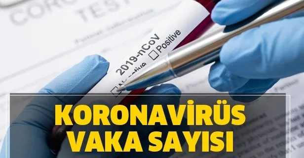 Türkiye'de koronavirüs il il vaka ve ölü sayısı kaç oldu?