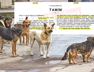 Başıboş sokak köpeği sorununa tarihsel bakış! Atatürk dönemindeki Resmi Gazetede umumi mücade vurgusu