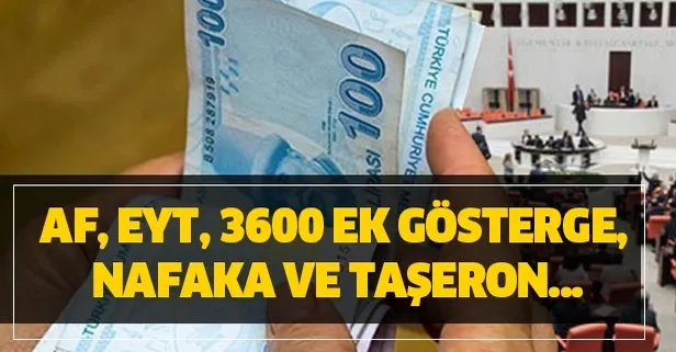 27 Ocak Meclis gündemi: Af, EYT, 3600 ek gösterge, nafaka ve taşeron...