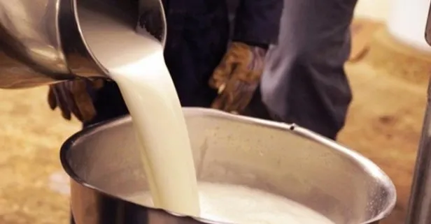 23 Ekim çiftçilere son dakika çiğ süt destekleme ödemeleri bugün yattı mı? Çiğ süt destekleme manda-malak ödemeleri ne kadar?