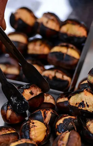 Rüyada kestane görmek ne anlama gelir?