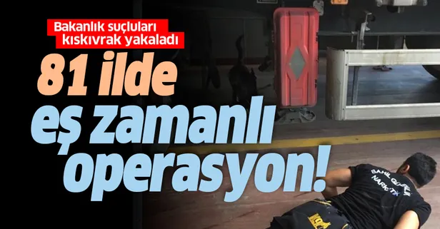 İçişleri Bakanlığı'ndan 81 ilde operasyon!