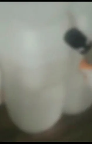 İstanbul merkezli 7 ildeki sahte içki operasyonunda 32 gözaltı