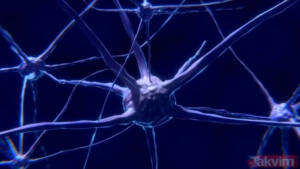 Sadece beslenme değil! Yüksek tansiyonu tetikleyen yeni bir beyin bölgesi keşfedildi - 2