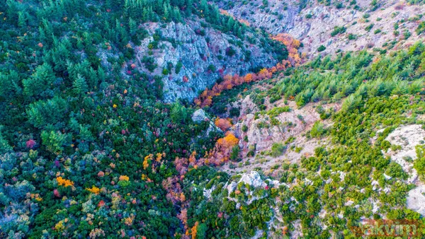 Manisa'da Spil Dağı Milli Parkı'nda muhteşem manzaralar - 13