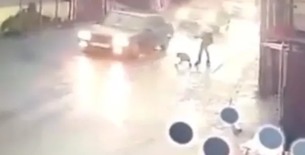 okul-yolunda-pitbull-saldirisi-10-yasindaki-cocugu-celme-takarak-kurtardi-1669531468356.jpg Okul yolunda pitbull saldırısı! 10 yaşındaki çocuğu çelme takarak kurtardı-2