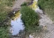 21. yüzyılda CHPnin belediyecilik vizyonu! Ekolojik tarım alanı dedikleri bölgeye kanalizasyondan zehir akıyor