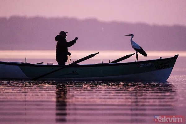 Yaren Leylek geldi: 14 yıl oldu! Yine Adem Yılmaz'ın kayığına kondu - 6
